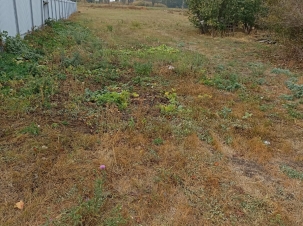 IMG-20241009-WA0036